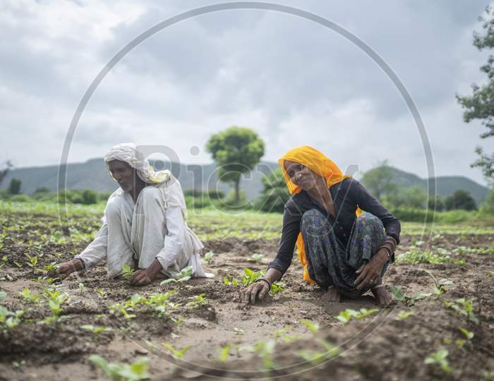 indian village farmers