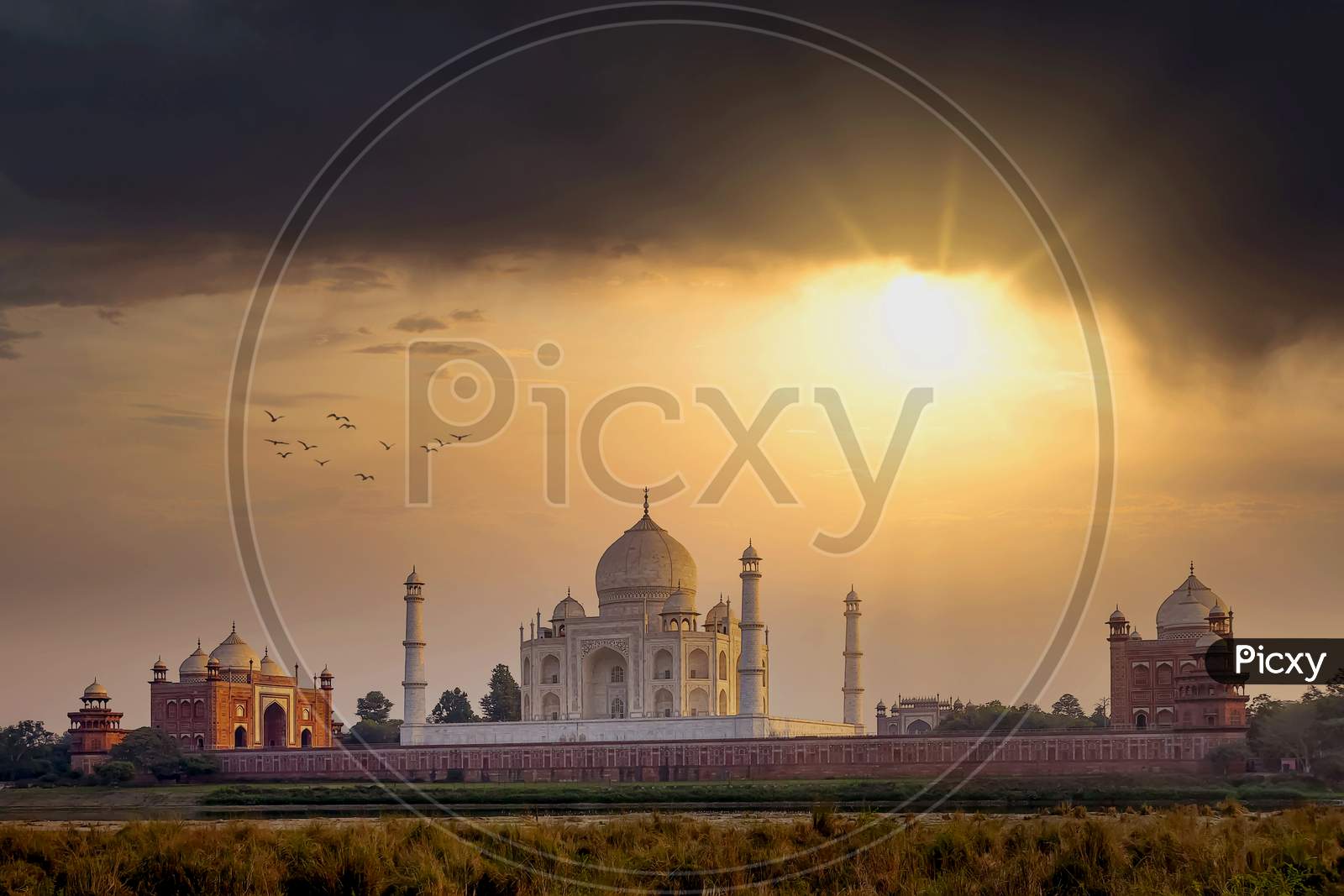 The white marble Taj Mahal building in a golden sunset as seen from across the Yamuna river in Agra, India.