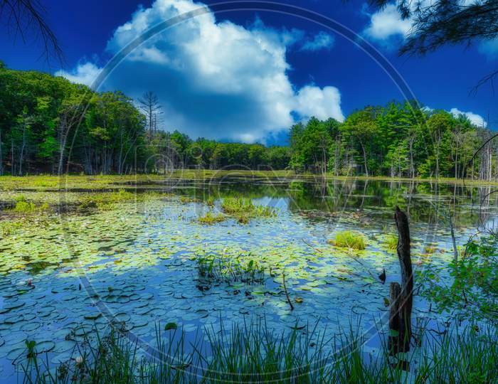 Pond In Ipswitch Massachusetts Usa