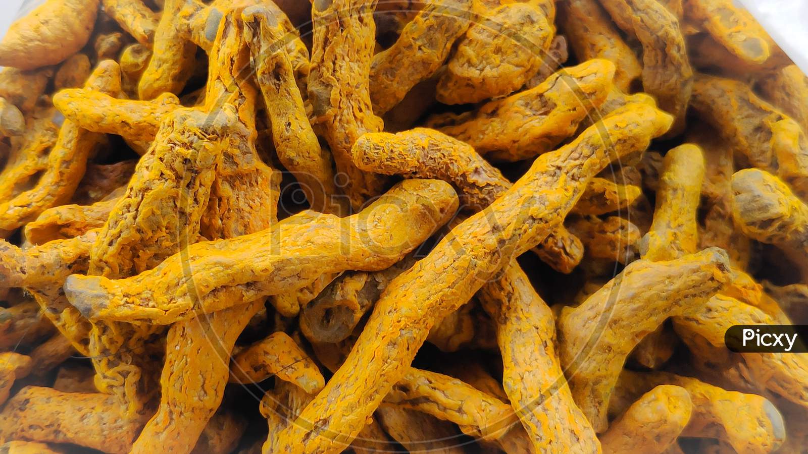 Pure Organic Turmeric sticks were cultivated by Village farmers