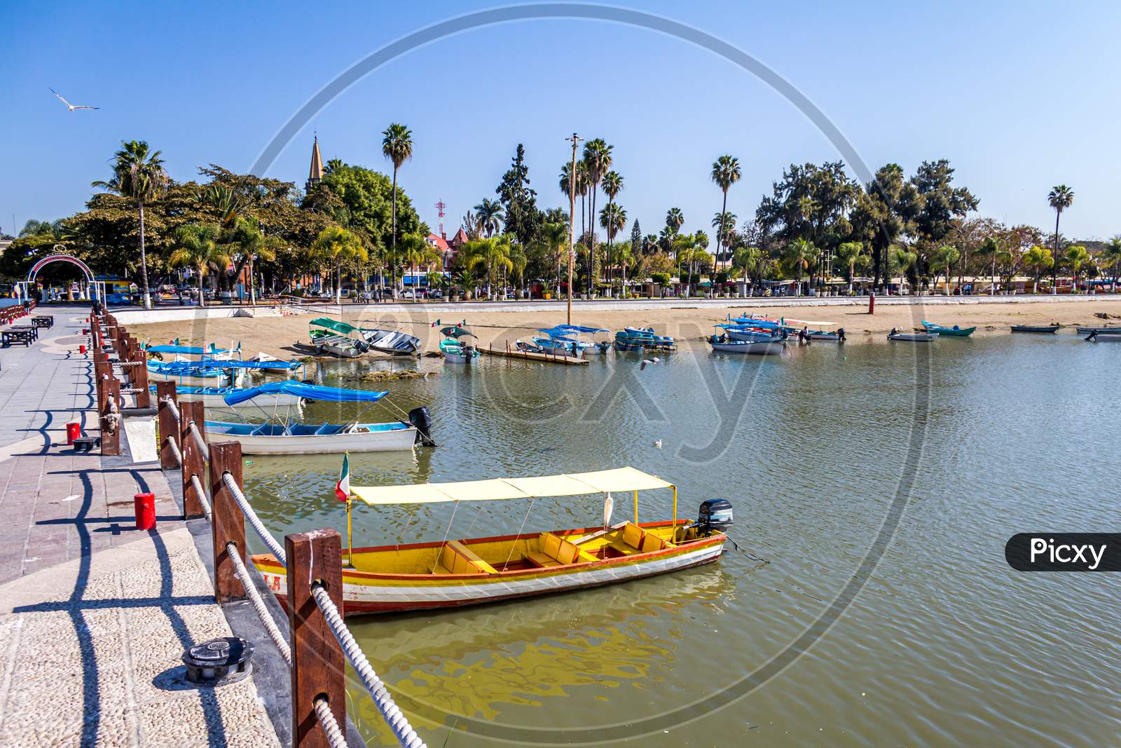 Beautiful View Of Colorful Boats On A Pier With Palm Trees In Lake Chapala Mexico On A Wonderful Sunny Day With A Blue Sky Village Of Chapala Jalisco Mexico