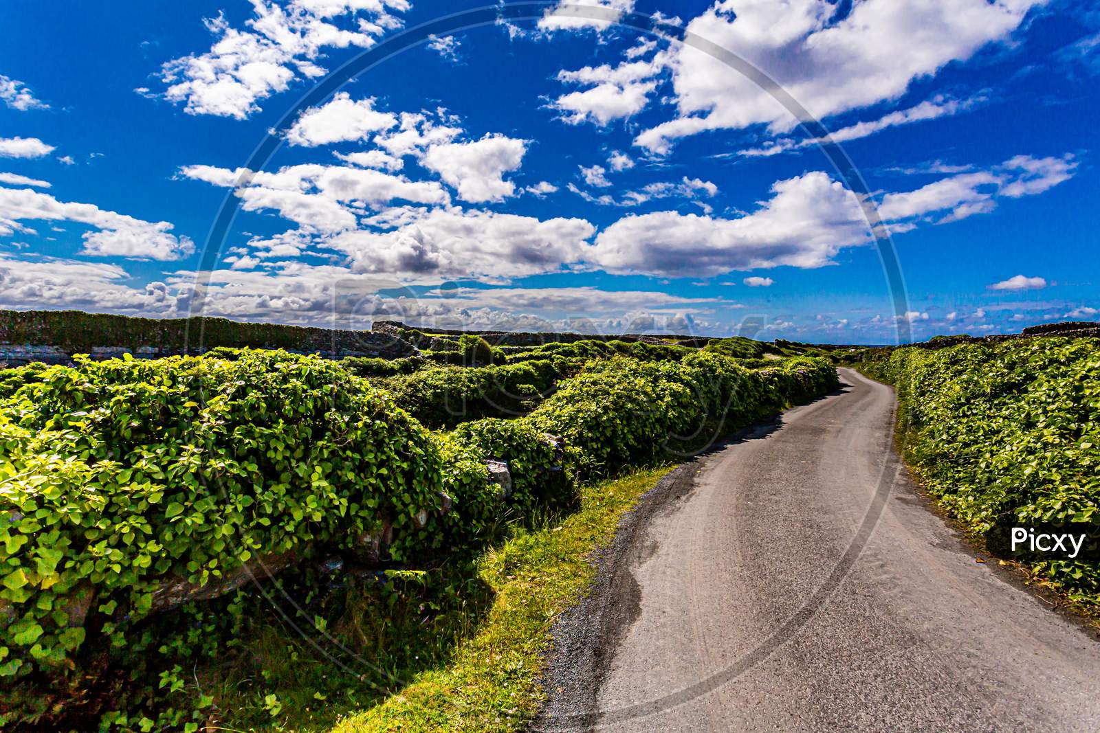 Beautiful View Of A Rural Road Between Limestone Fences Covered With Greenery On Inis Oirr Island, Wonderful Sunny Day With A Blue Sky And White Clouds On Inisheer Island, Aran Islands, Ireland