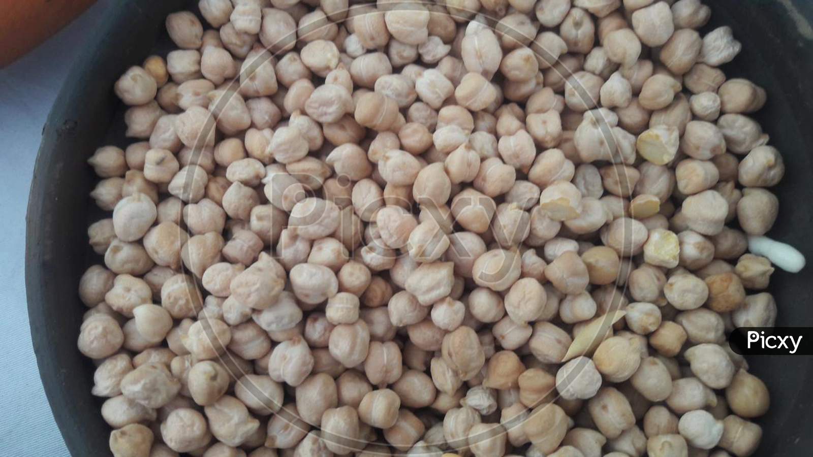 Uncooked Chickpea