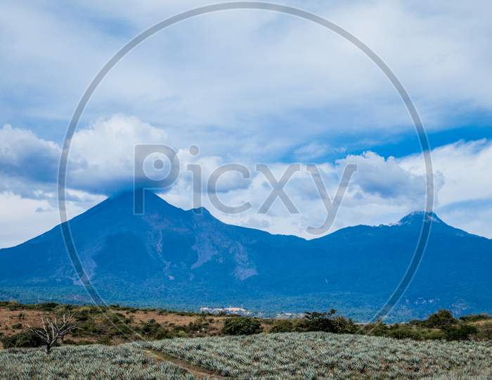 Mexican Landscape With A Field With A Blue Agave Plantation With The Colima Volcano In The Background, Cloudy Day With Abundant Clouds In The State Of Jalisco, Mexico