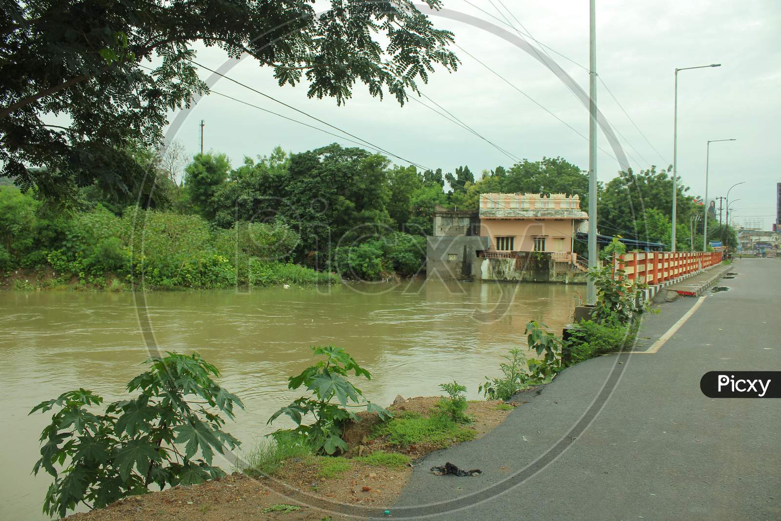 Warangal floods