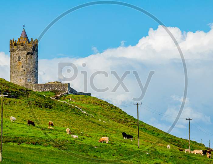 Beautiful View Of A Field With Cattle Grazing With The Doonagore Castle Tower In The Background In The Coastal Town Of Doolin, Wild Atlantic Way, Sunny Spring Day In County Clare In Ireland