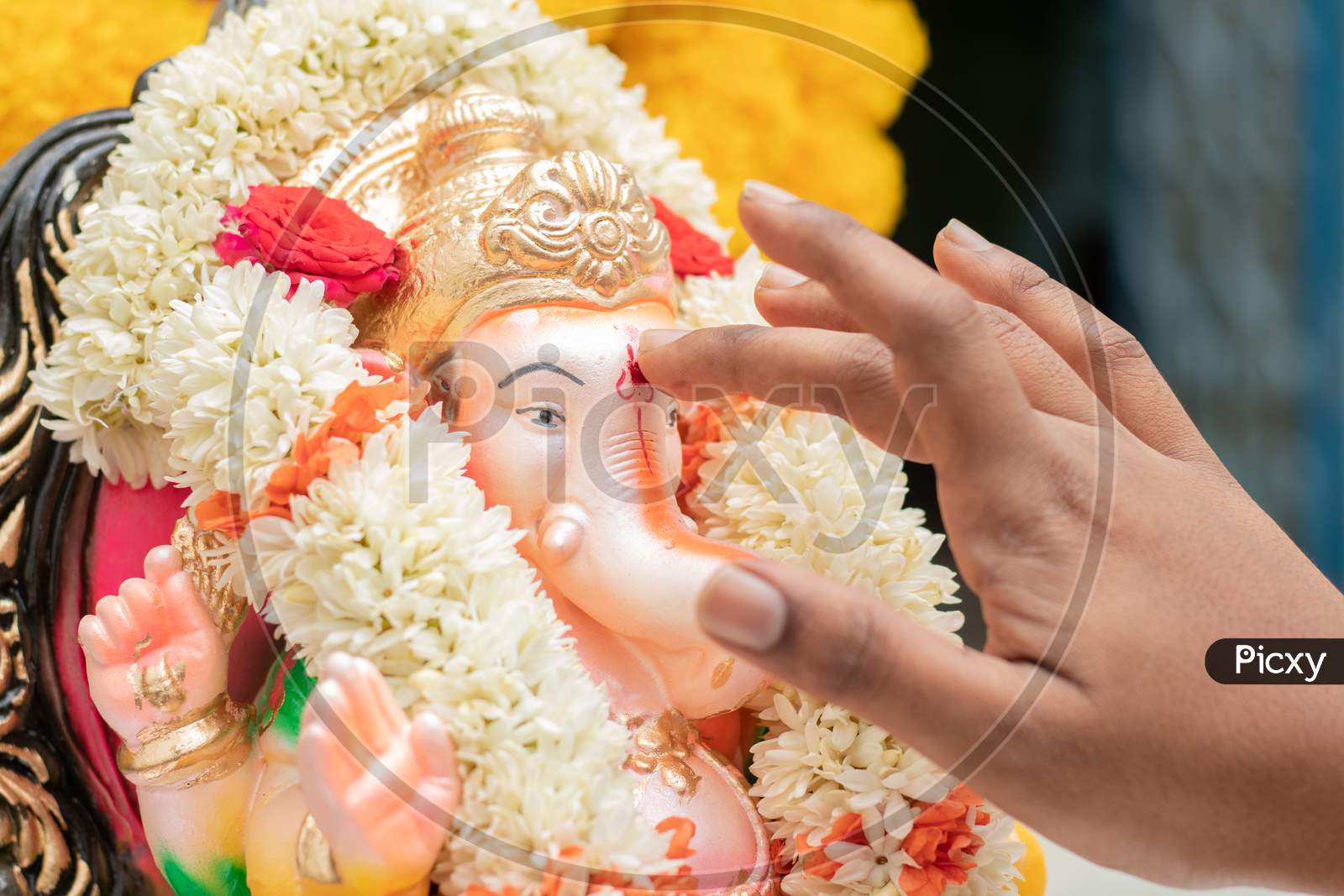 Closeup Of Hands Applying Tilak Or Kumkum To Lord Ganesha During Indian Religious Ganesha Or Vinayaka Chaturthi Festival Ceremony.
