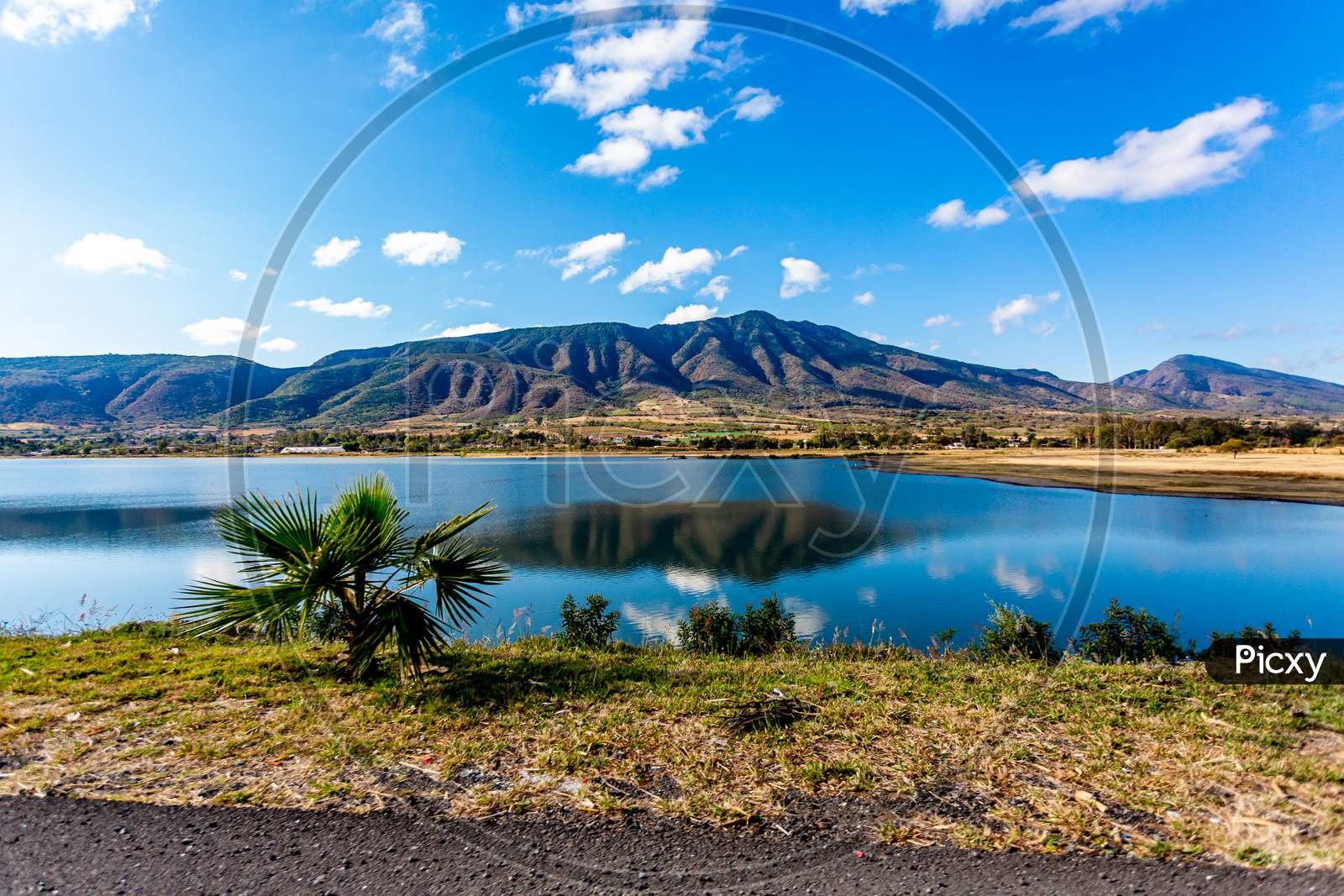 Mexican Mountainous Landscape, A Small Palm Tree Next To A Lake With Mirror Reflection Along The Guadalajara - Chapala Highway Surrounded By Arid Terrain And Trees, Sunny Day In Jalisco, Mexico