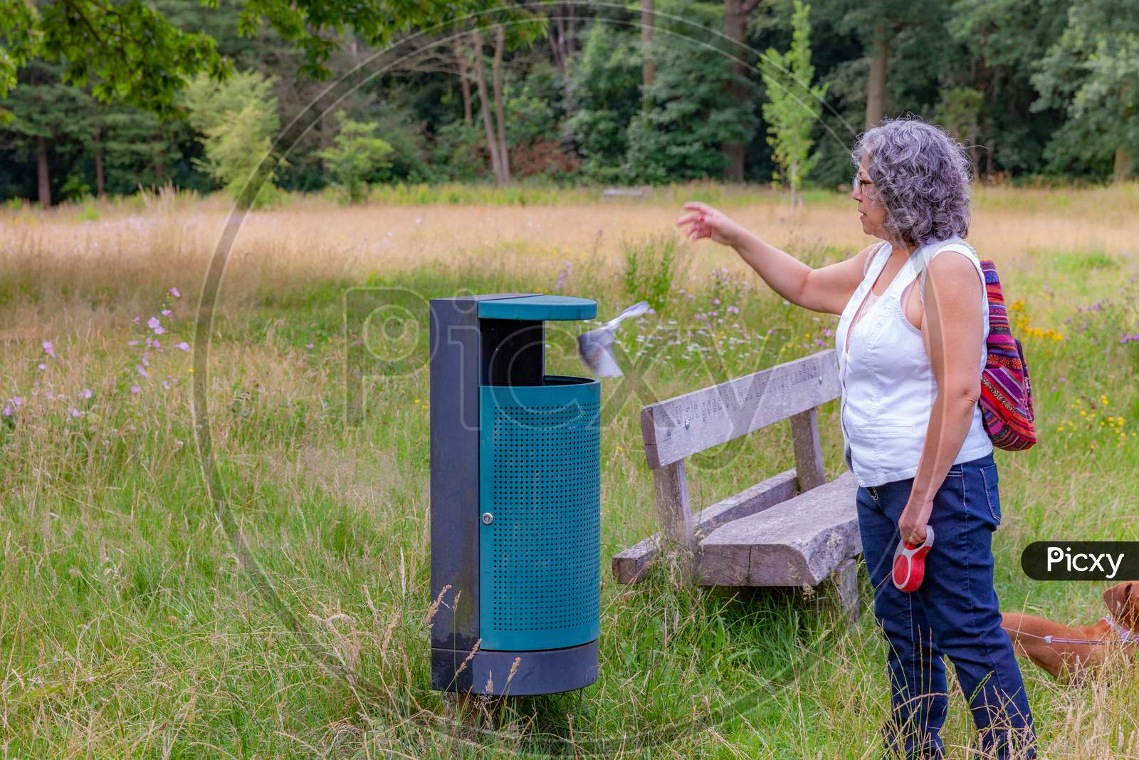 Mature Woman Depositing Her Dog'S Waste In A Public Garbage Can Next To A Wooden Bench In A Park Surrounded By Trees, Responsibility For Environmental Conservation, South Limburg, The Netherlands