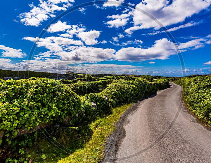 Beautiful View Of A Rural Road Between Limestone Fences Covered With Greenery On Inis Oirr Island, Wonderful Sunny Day With A Blue Sky And White Clouds On Inisheer Island, Aran Islands, Ireland