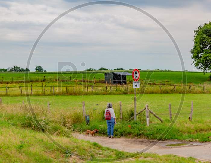 Mature Woman With A Backpack And Her Dog Looking At The Prohibition Signs, Prohibiting Cars And Motorcycles From Passing On A Dirt Road With Fences Between Farmland, South Limburg, Netherlands