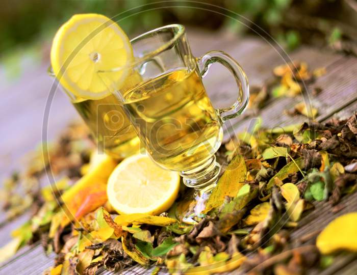 Autumn Lemons Tea In Foliage Cup Image.