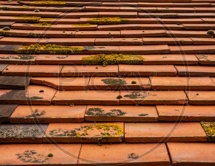 Selective Focus Of Century Old Rosemary Clay Classic Red Roof Tiles