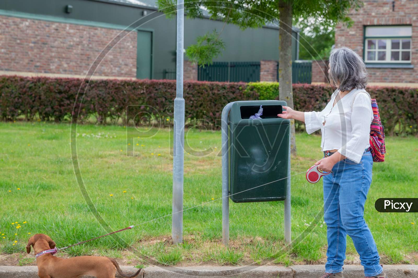 Mature Woman In Casual Clothing Depositing Her Dog'S Waste In A Public Rubbish Bin On The Street, Responsibility For Environmental Conservation, South Limburg, The Netherlands Holland