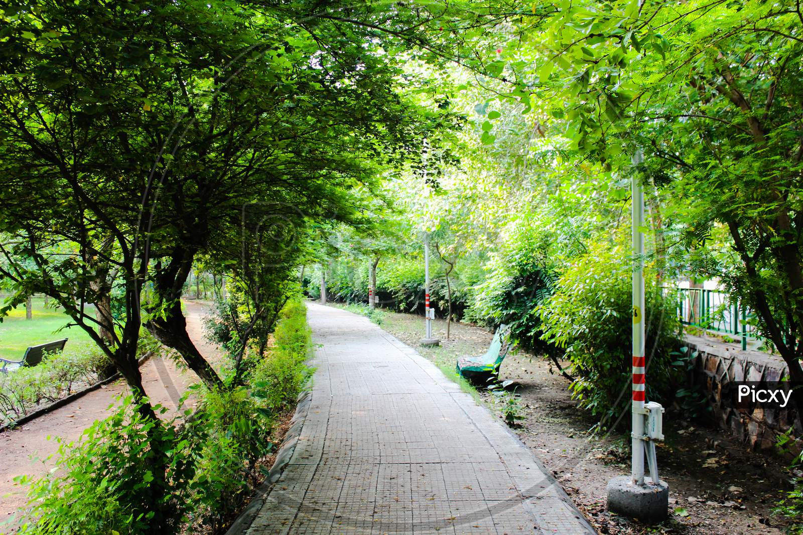A picture of way in garden