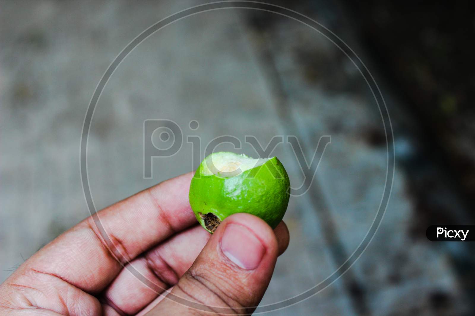 A picture of guava