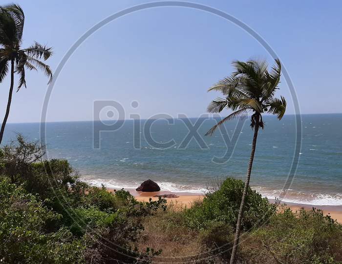 Beautiful seashore view and coconut tree