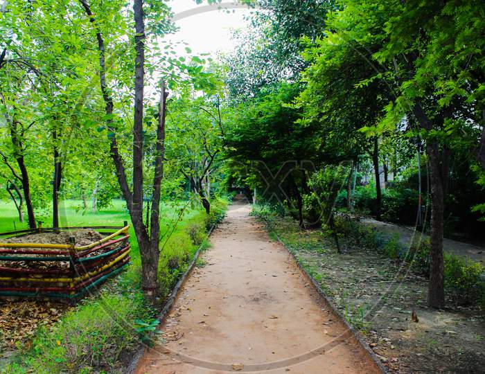 A picture of way in garden