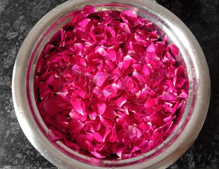 Natural Fresh Pink Rose Flowers Therapy