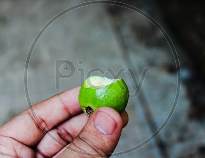 A picture of guava