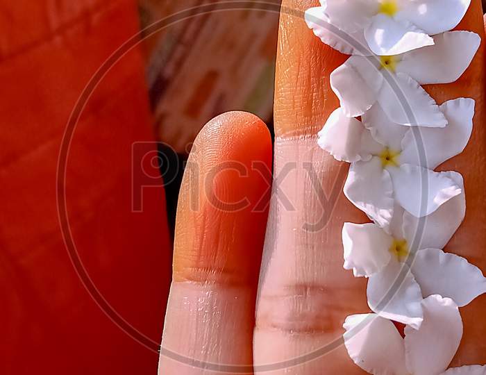 Beautiful white flower in hand with mehdi