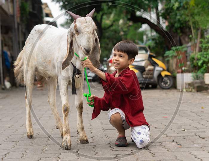 A muslim kid with a goat on eid ul adha mumbai india