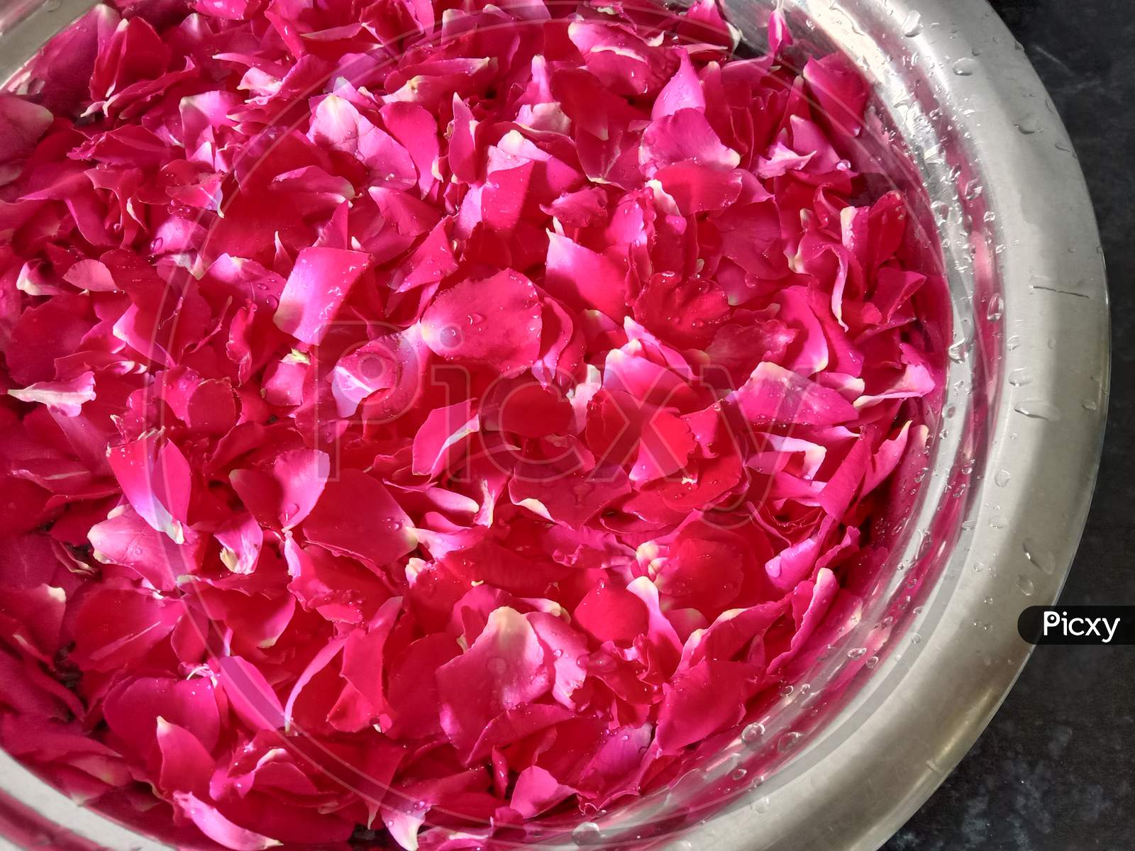 Therapy With Natural Fresh Pink Rose Flowers