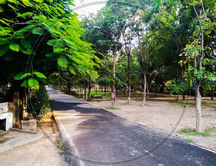 A picture of way  in garden