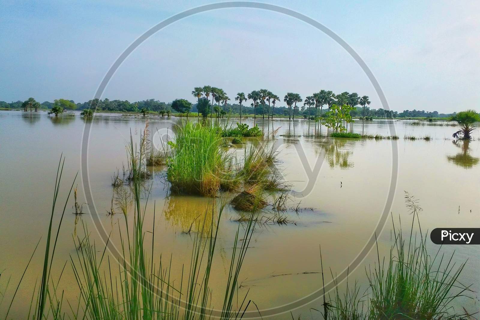 The landscape of flooded vast wetlands after heavy rain in West Bengal of India