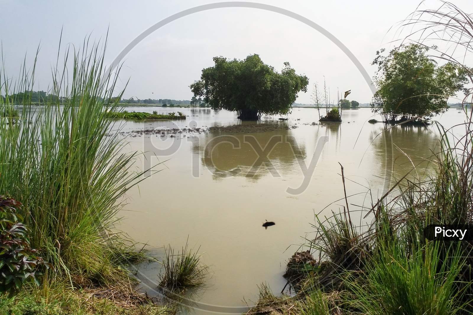 The landscape of flooded vast wetlands after heavy rain in West Bengal of India