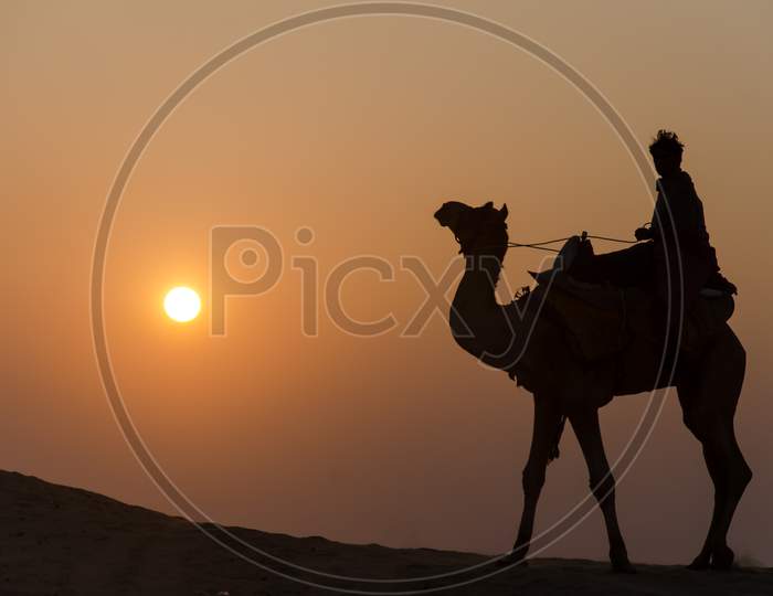 Silhouette of camel and rider on a camel safari