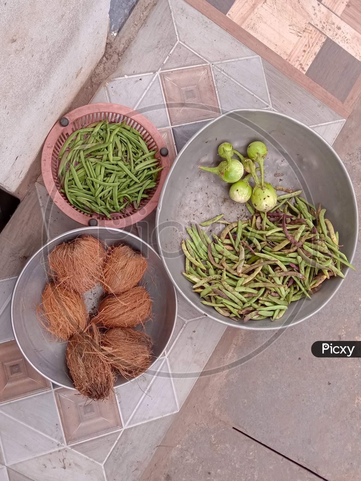 Coconut,brinjal & fava beans for sell