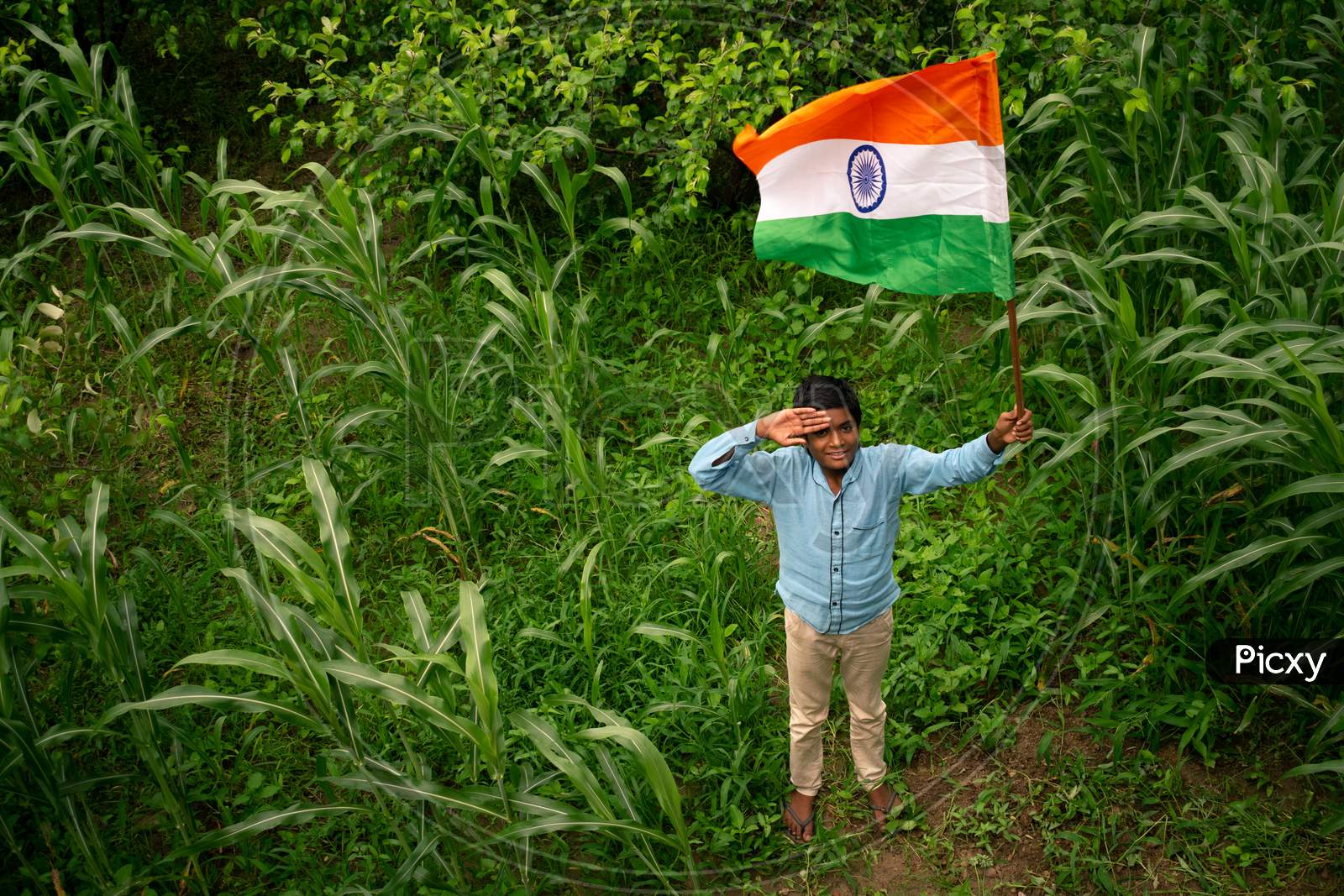 A boy holds and gives a salute to the indian flag or tricolour flag on the independence day at a farm, 15 august 2020