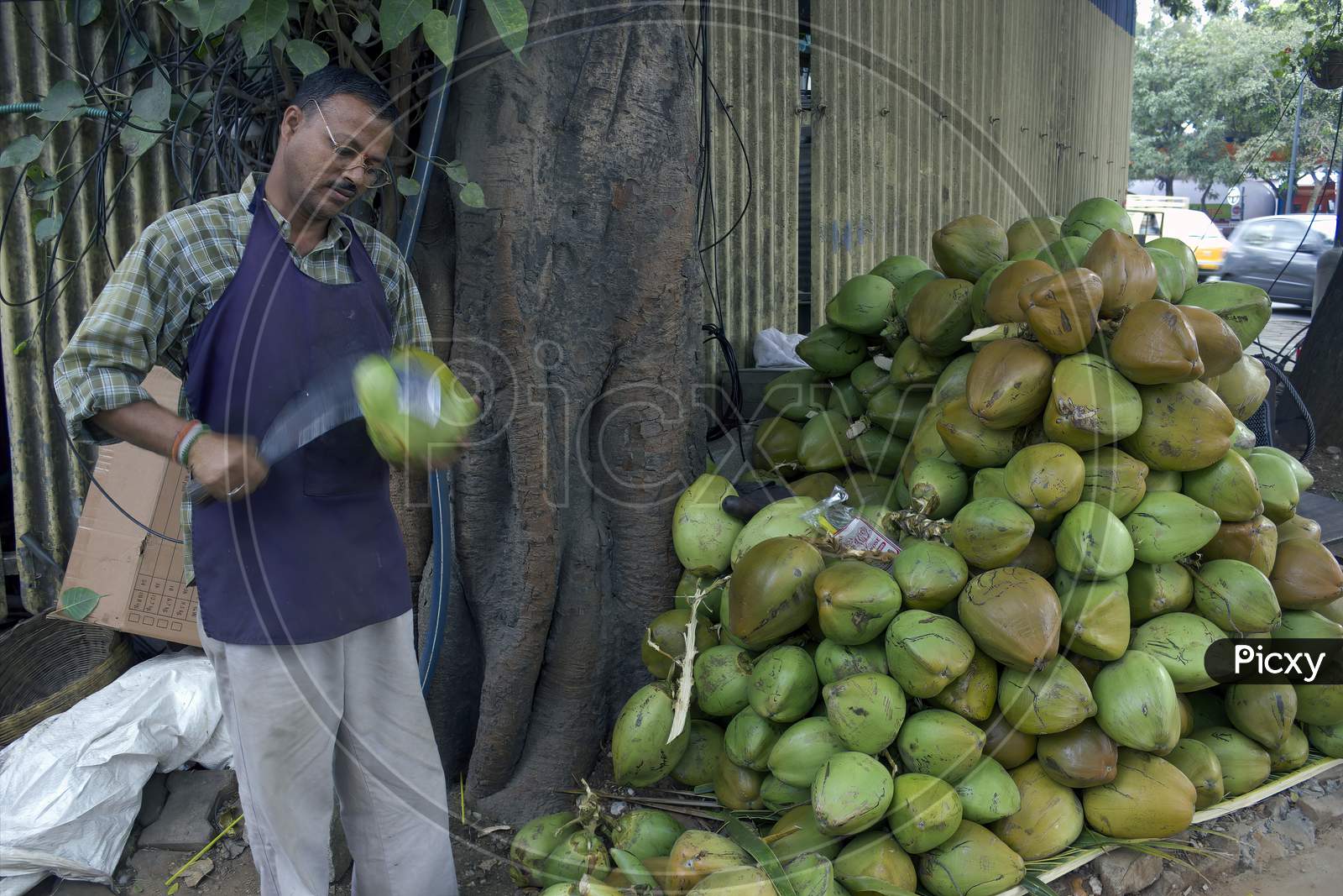 Bangalore, India - September 04, 2016: A Seller Chopping Raw Coconut With Sharp Knife For Customer By The Street
