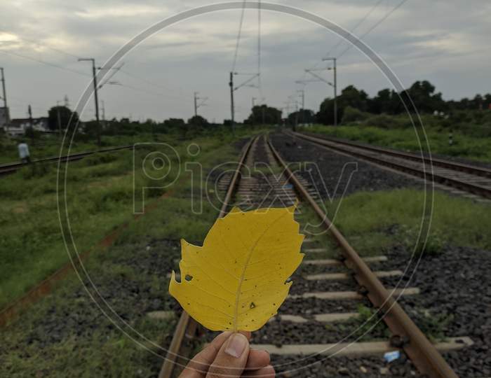 Yellow Leaf With Railway Track Background Yellow Leaf With Solid Rock Background
