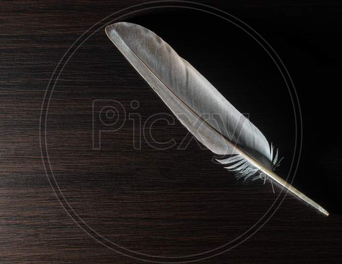 A Brown Feather In A Black Wooden Background