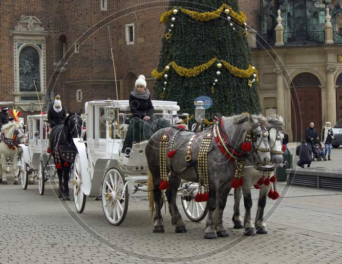 Krakow, Poland - December 23, 2014: Queue Of Horse Ride Carriage For Tourists During Christmas Eve Holidays In Winter At City Center Main Square Before X-Mas Tree