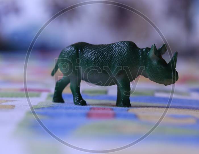 Rhino Model Concept Toy On Colorful Background