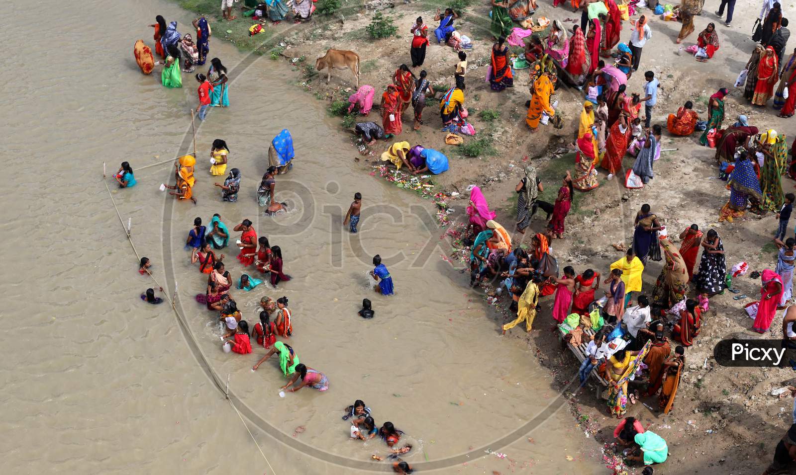 Hindu women devotees take holy dip in the Ganga river on the occasion of Teej festival for the long life of their husband in Prayagraj, August 21, 2020.