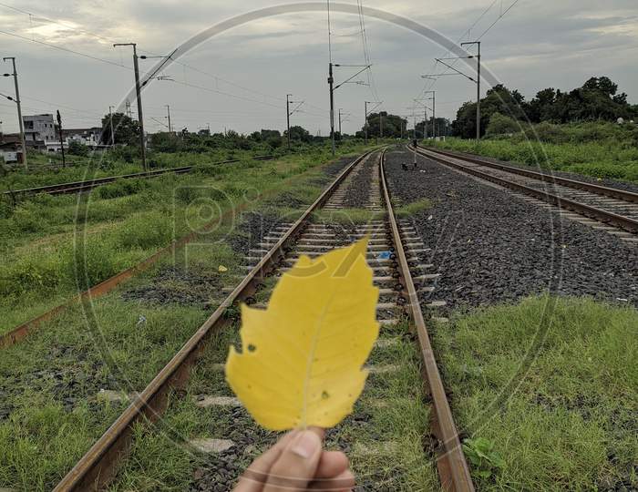 Yellow Leaf With Railway Track Background