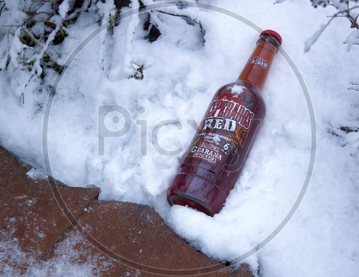 Krakow, Poland - January 31, 2015: Closeup Of A Chilled Beer Kept Outdoor On A Real Snow During Winter
