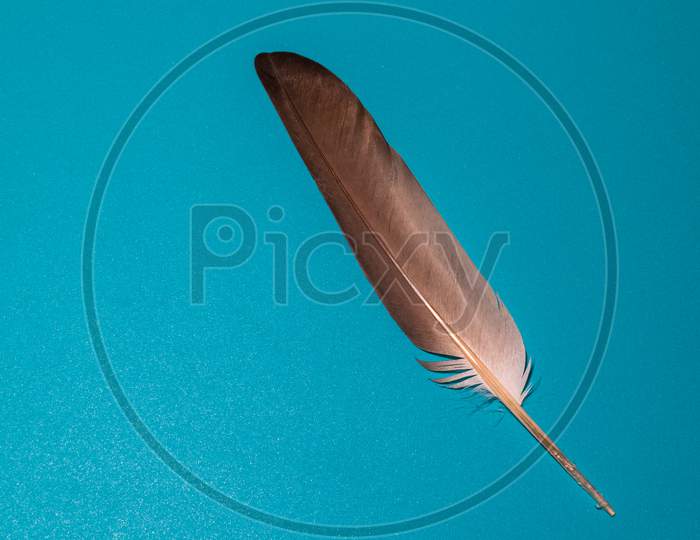 A Brown Feather In A Blue Background