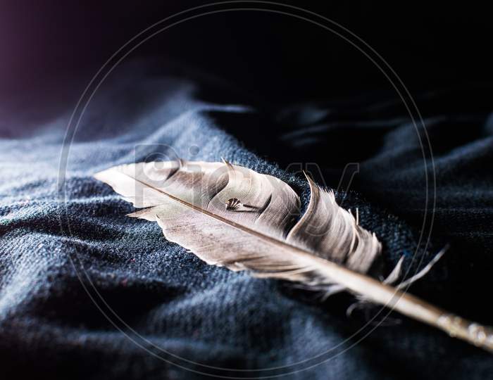 Creative Focused Water Drop On A Feather On A Black Cloth