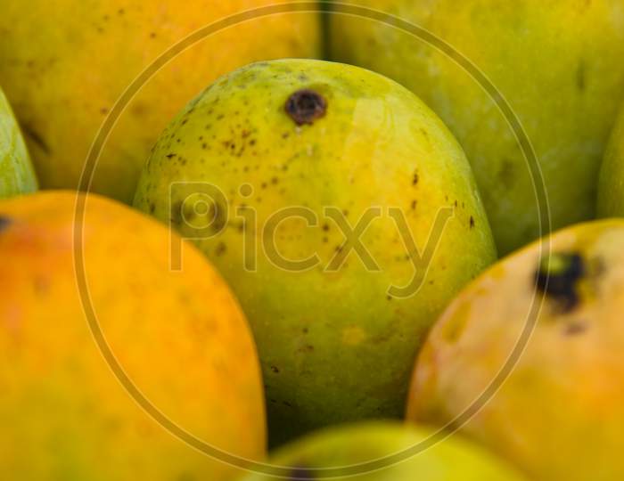 Close Up Close Up Top Angle Photo Of Bunch Of Mangoes Photo Of Bunch Of Mangoes