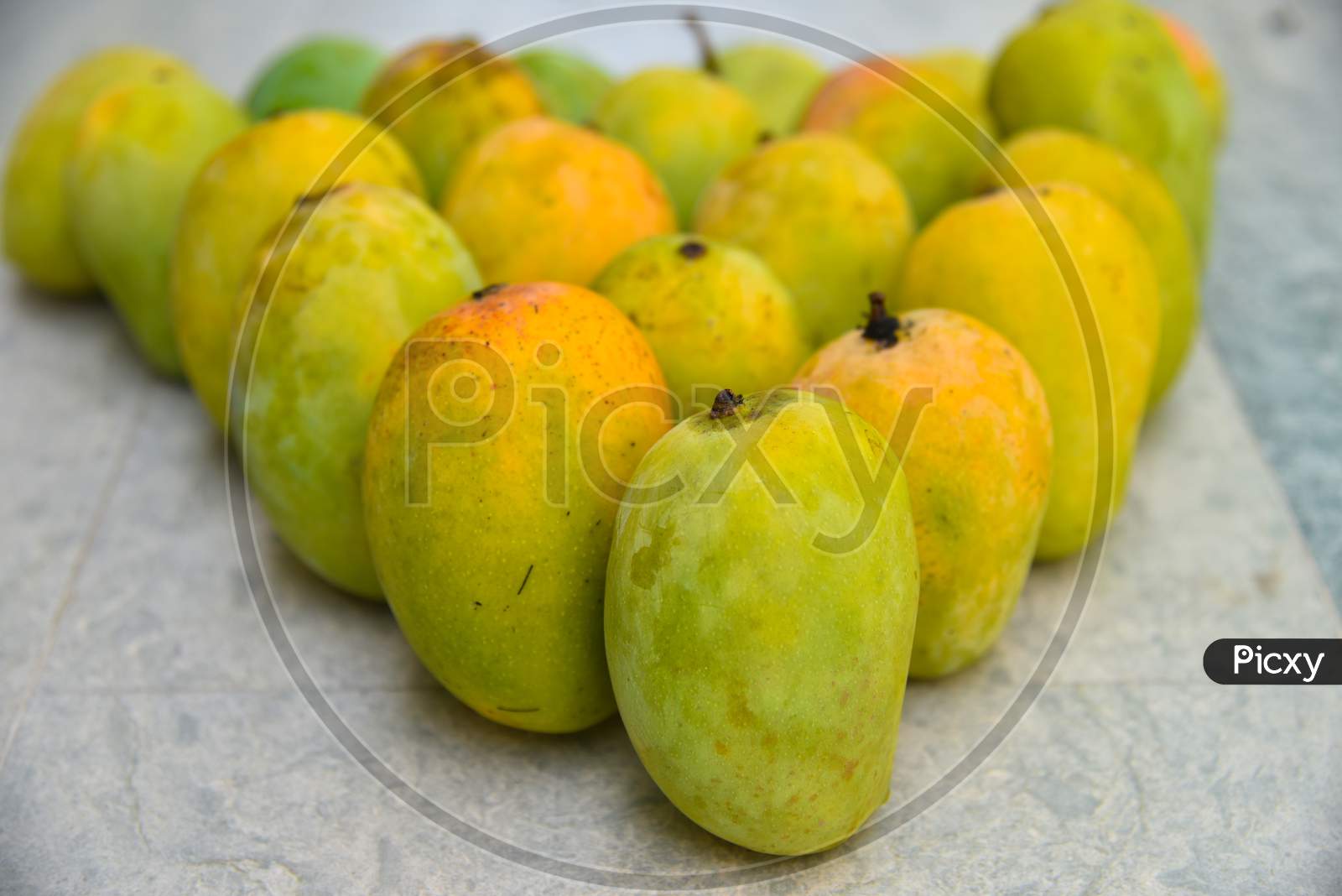 One Mango Fruit On Texture Background