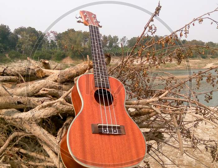 The Best Stock Image Of Ukulele Instrument With Natural Environment, A Hand Of Music. Nature Sounds-Nature Music - Nature Lovers!