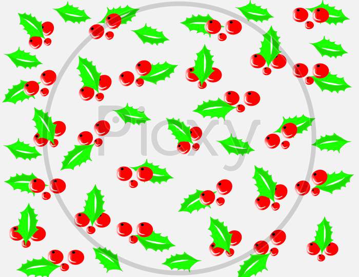 raspberry Art & Illustration