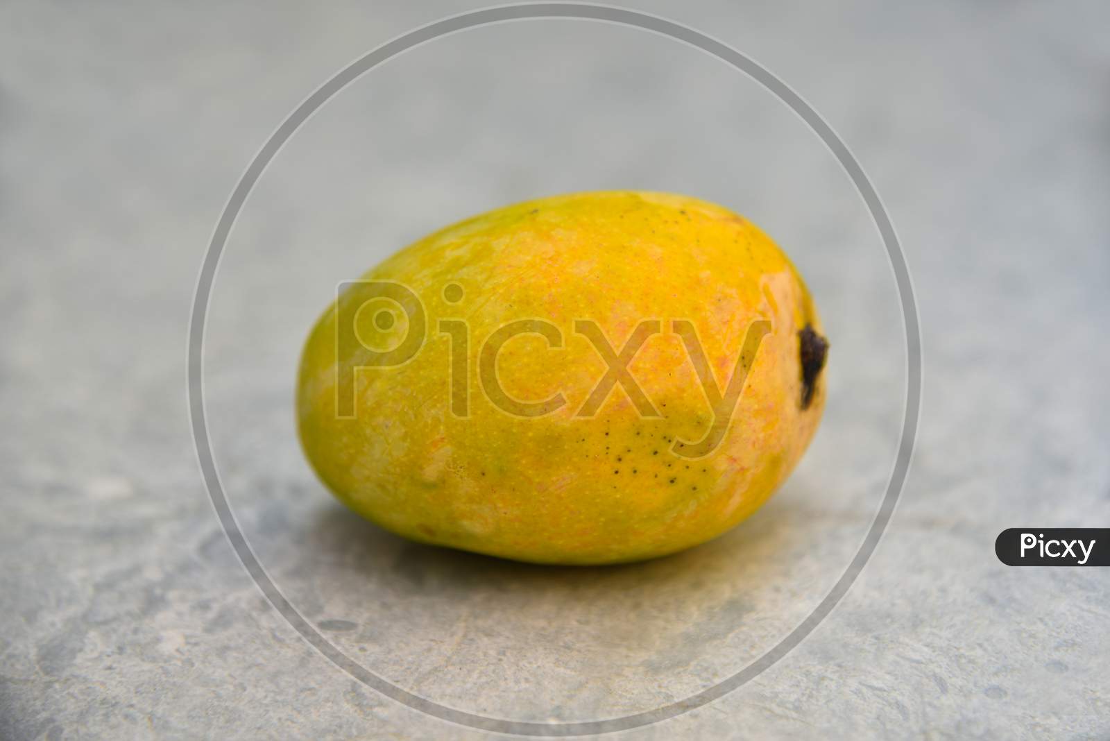 One Mango Fruit On Texture Background