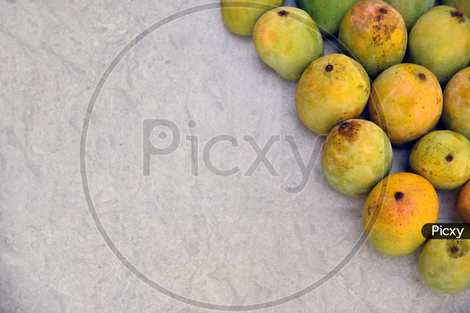 Fresh Mango Fruit Stock Photos