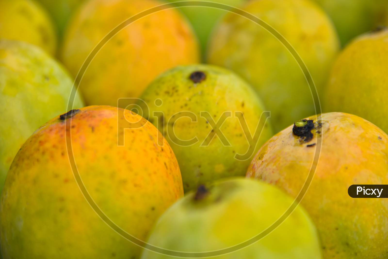 Close Up Top Angle Photo Of Bunch Of Mangoes